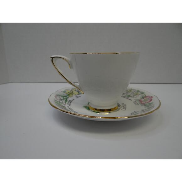 Floral Emblems of Canada  tea cup/ saucer Royal Stafford Bone China Collectable - Picture 6 of 12